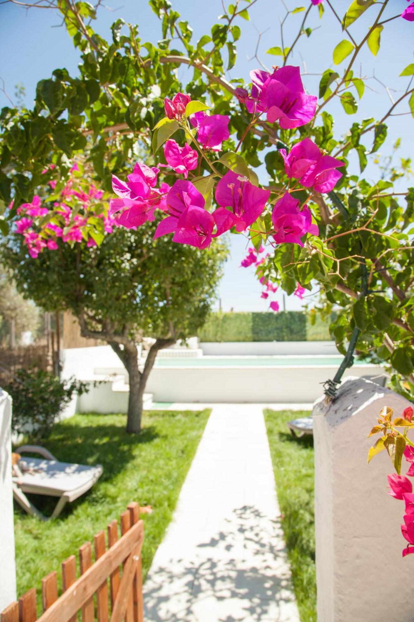 Hébergement de vacances Casa Do Sossego